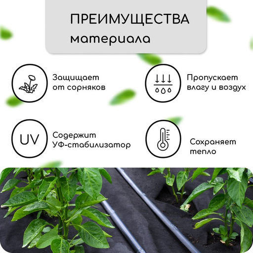 Материал мульчирующий, с перфорацией, 5×1.6 м, плотность 80 г/м², спанбонд с УФ-стабилизатором, 4 ряда перфорации, чёрный, Greengo, Эконом 30%