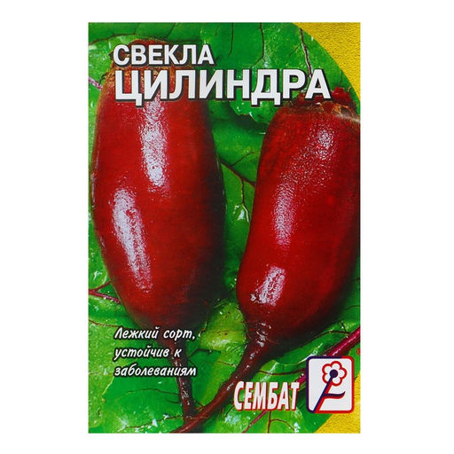 Цена за 5 шт. Семена Свекла "Цилиндра", 1 г