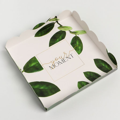 Цена за 5 шт. Коробка для печенья, кондитерская упаковка с пластиковой крышкой, «Эко», 18×18×3 см