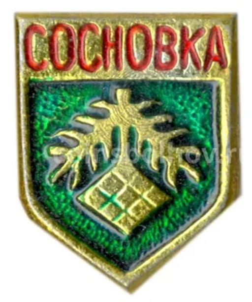 Значок Сосновка