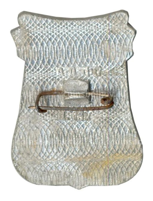 Значок Алма-Ата