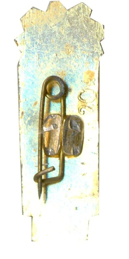 Значок Сочи