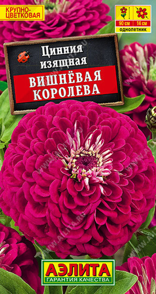 1882A Цинния Вишневая королева 0,3гр