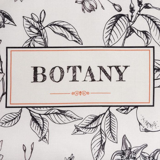 Полотенце кухонное Этель Botany, 40?73 см, репс 210 г/м?, 100% хлопок