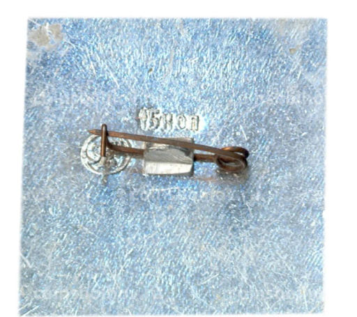 Значок Юрьев-Польский  Георгиевский собор