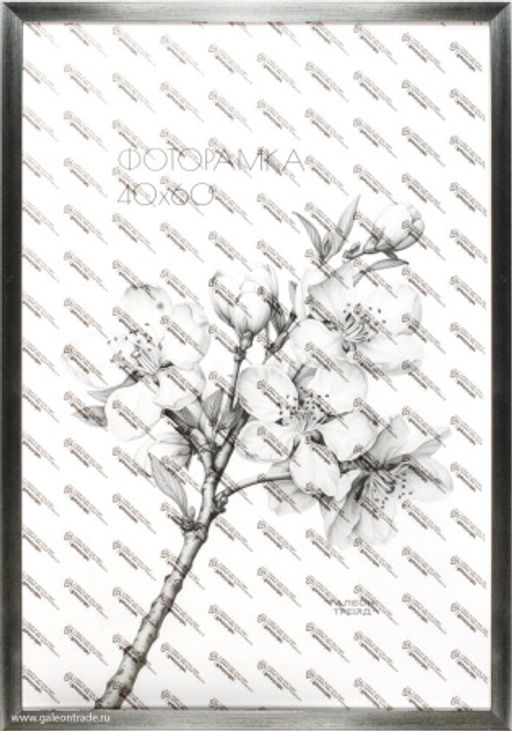 Фоторамка 40х60 / ZR208B-123 s/с акрил. стеклом/уп10 ф