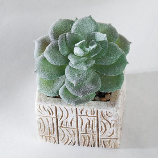 Цветочная композиция Кактус / WER-15 /уп 12/288/ микс - Галеонтрейд фото 20