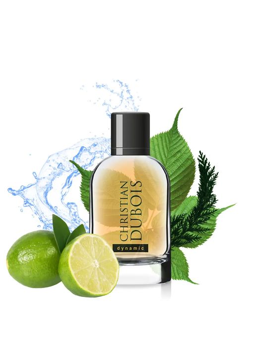 Dilis CHRISTIAN DUBOIS Dynamic Туалетная вода для мужчин 100 мл  фото 3