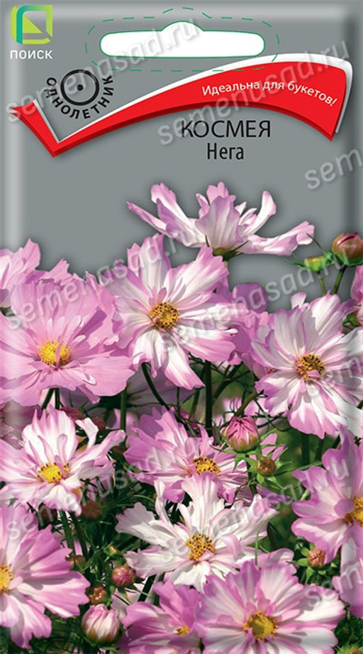 Космея Нега (ЦВ) ("1) 10шт