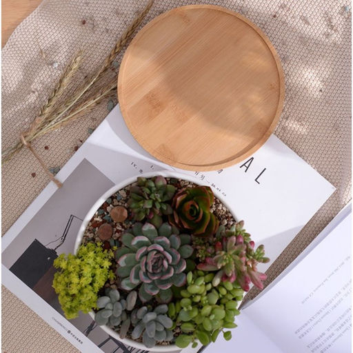 Горшок для кактусов и суккулентов «Эко Бонсай» керамический, 800 мл, 17×7 см, с деревянной подставкой, белый