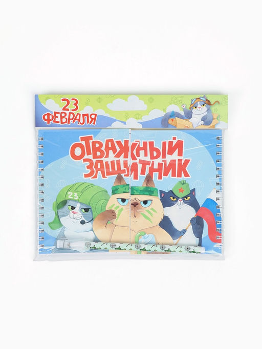 Подарочный набор, двойной блокнот с заданиями, ручка «Отважный защитник»