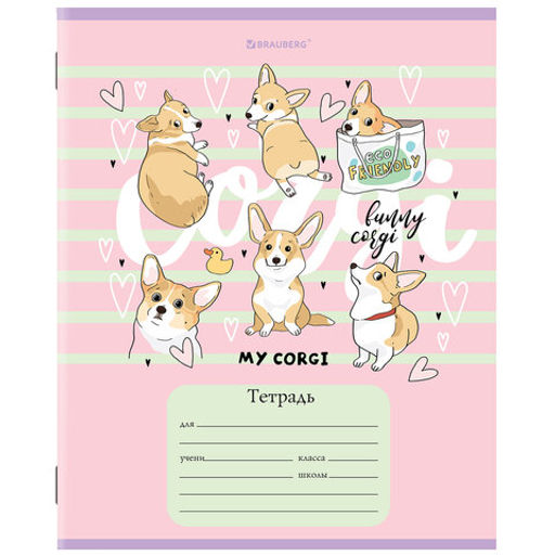 Цена за 6шт. Тетрадь 12 л. BRAUBERG, клетка, обложка картон, "КОРГИ"