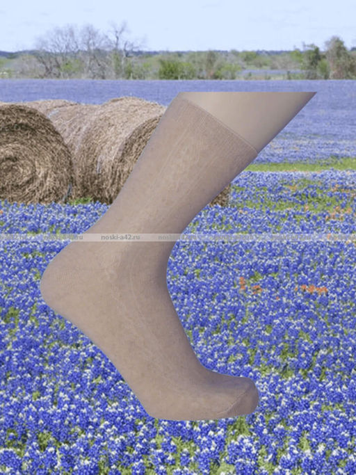 Цена за 10 пар. Носки мужские ВЛ-01 Белорусский лён с крапивой