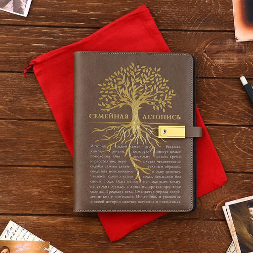 Родословная книга со встроенной флешкой 16 Gb «Семейная летопись», 17.5×23 см..
