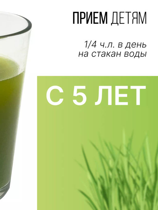 Витграсс порошок Пермиум 100г (состав: 100% порошок из сока молодых зеленых ростков пшеницы (Wheat g - Sneko Gold фото 8