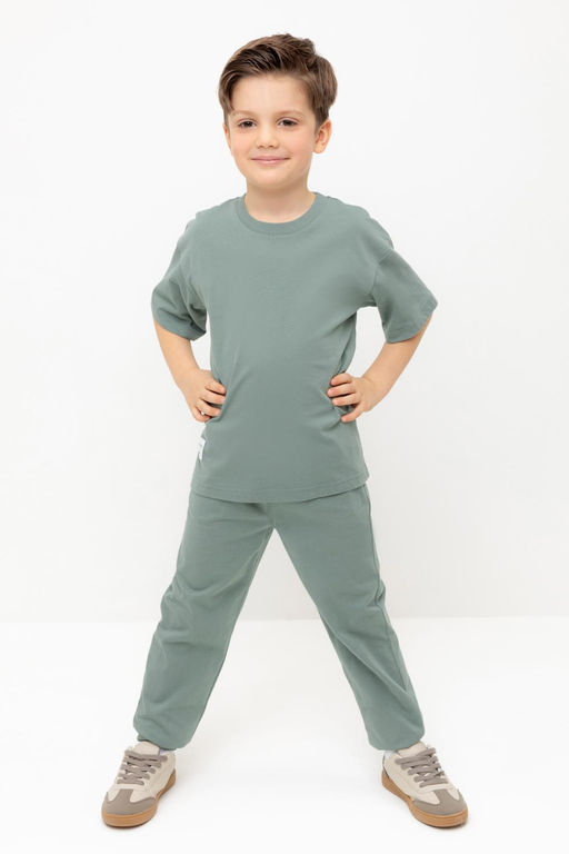 КР 400612/полынь к424 брюки для мал