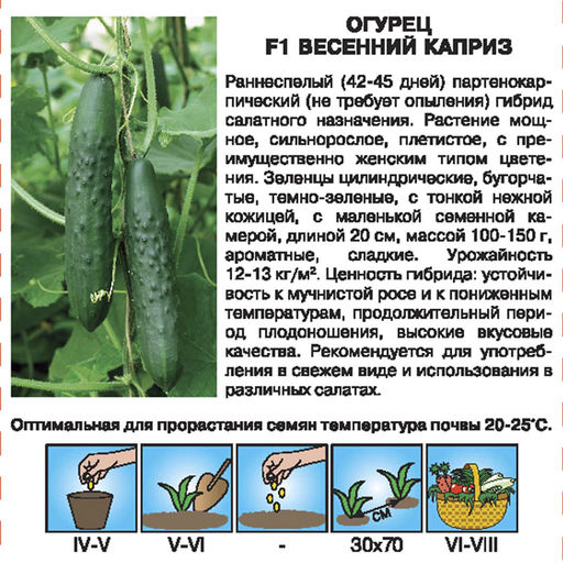 Огурец Весенний Каприз F1 0,2г (СеДеК)
