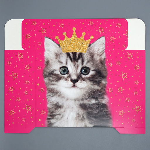 Коробка подарочная складная, упаковка, «Котик», 25 х 25 х 10 см
