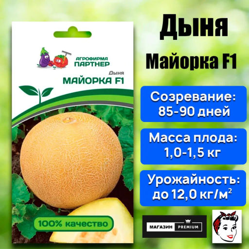 Дыня Майорка - Партнер фото 7