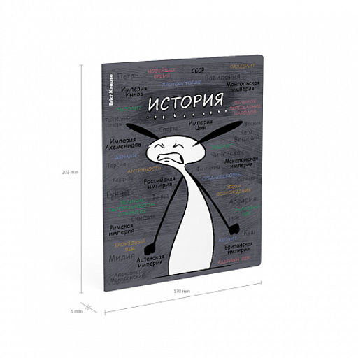 Цена за 5 шт. Тетрадь общая ученическая с пластиковой обложкой на скобе ErichKrause Чубрик, История, 48 листов, клетка  фото 4