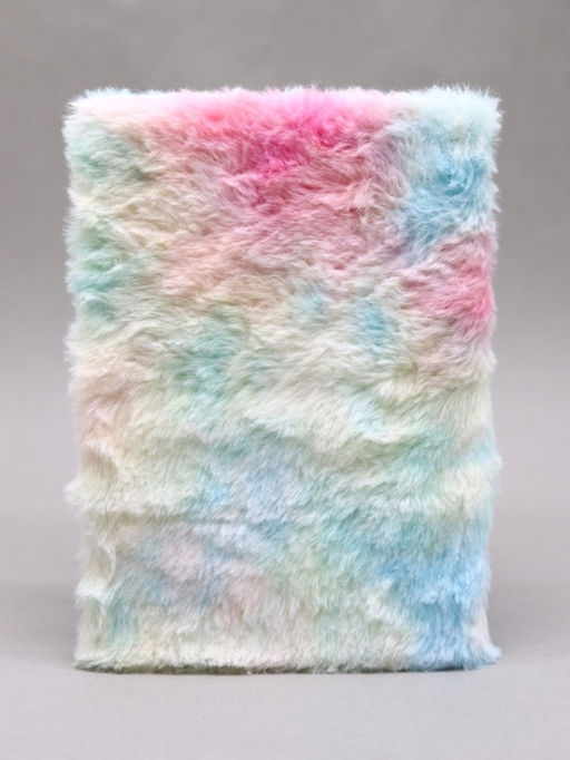 Блокнот плюшевый Rainbow Koala (21,5*14,5 см)