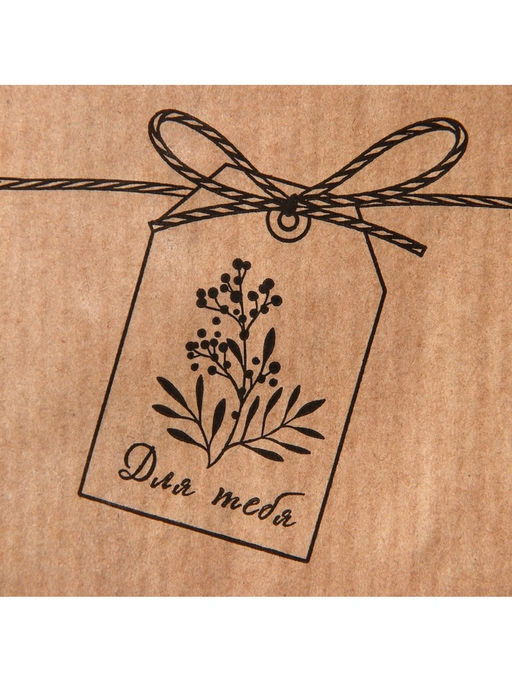 Цена за 50 шт. Пакет бумажный фасовочный, упаковка, крафт, Шильдик 8?16 см без окна