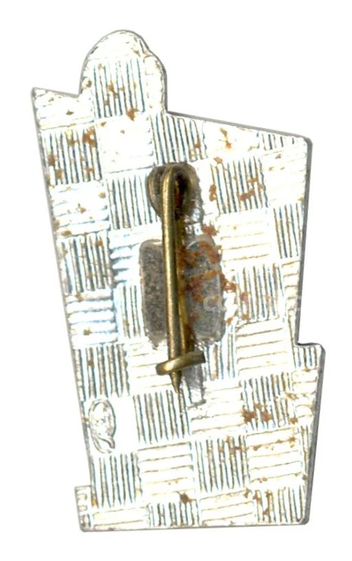 Значок Петродворец