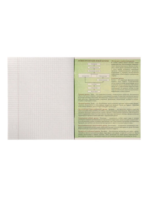 Цена за 10 шт. Предметная тетрадь по биологии Calligrata «Металл», 48 листов, в клетку, со справочным материалом, обложка из мелованного картона, серые листы