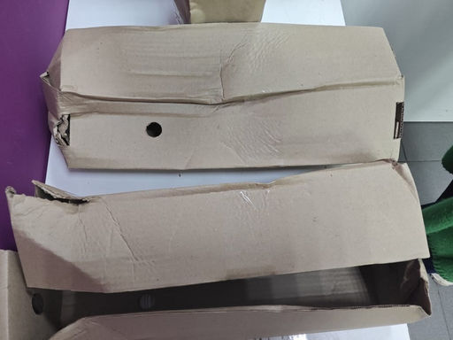 Рододендрон Казимира Вилки