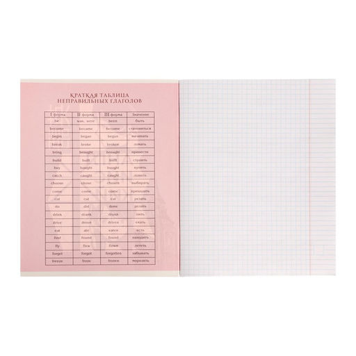 Тетрадь предметная Комикс Аниме 48 листов в клетку Английский язык, со справочным материалом, обложка мелованный картон, УФ-лак (полный), блок офсет - Calligrata фото 3