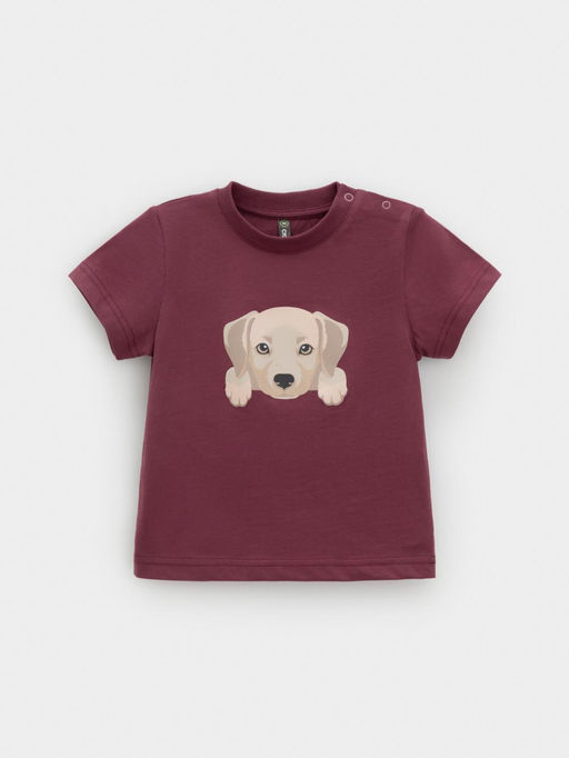 КР 302907/коричневый 1614 к630 фуфайка (футболка) д/мал яс