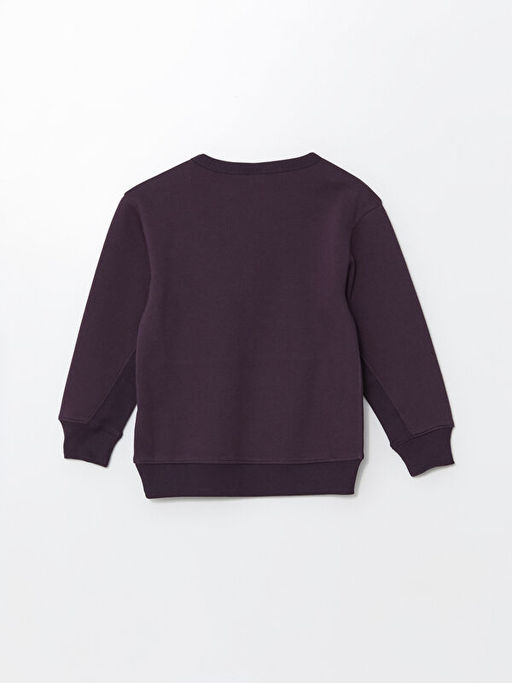 Bisiklet Yaka Erkek ?ocuk Kal?n Sweatshirt - Waikiki фото 3