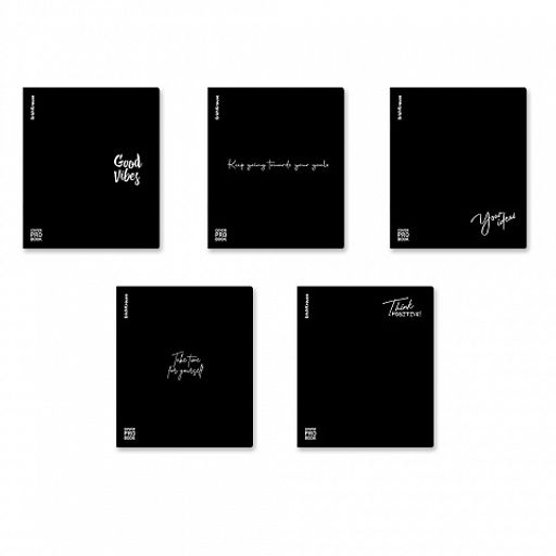 Цена за 5 шт. Тетрадь общая ученическая с пластиковой обложкой на скобе ErichKrause Words, красный, А5+, 48 листов, клетка_MIX-PACK  фото 2