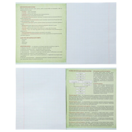 Набор предметных тетрадей Calligrata «Неон», 10 предметов, 48 листов, со справочным материалом, обложка из мелованного картона, УФ-лак, блок офсет