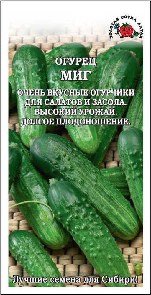Огурец Миг 0,5г (Золотая сотка Алтая)