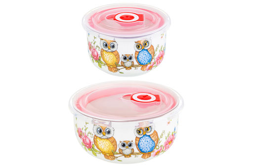 Набор 2 салатников - 13*13*6,5 см 560 мл+10,5*10,5*6 см 260 мл Совушки с плас.крыш. NEW BONE CHINA - Elan gallery фото 19