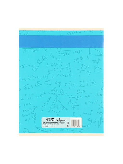 Набор предметных тетрадей Calligrata TOP «Журнал», 10 предметов, 48 листов, со справочным материалом, картонная обложка, глянцевая ламинация