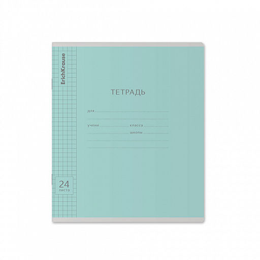 Цена за 160 шт. Тетрадь школьная ученическая ErichKrause Классика Visio ассорти, 24 листа, линейка (в плёнке по 10 шт.) фото 6