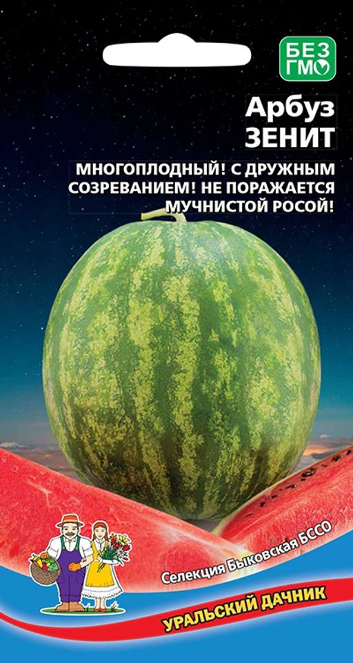 Арбуз ЗЕНИТ 5-10 кг! Многоплодный! Раннеспелый, супернеприхотлив! Мякоть зернистая, нежная, сочная, сладкая и очень ароматная!