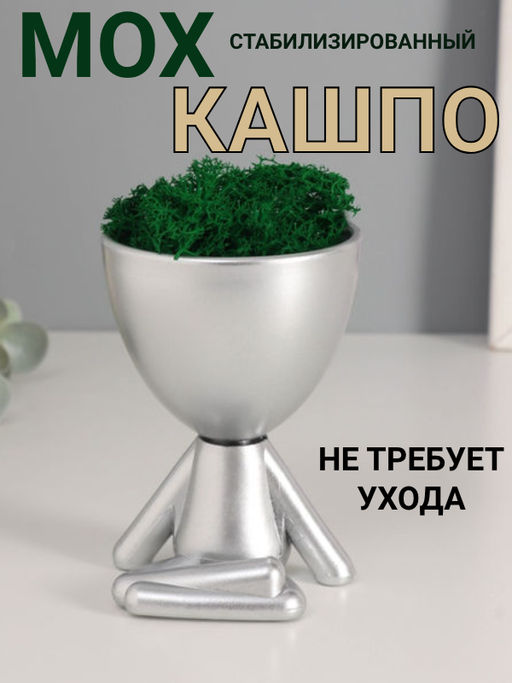 Стабилизированный мох в кашпо пластиковом Мистер Грин йог, 10.57.57.3 см, серебро