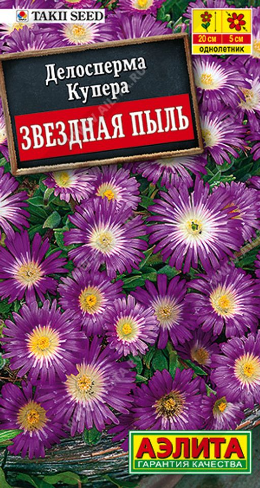 Делосперма Звездная пыль (2023)