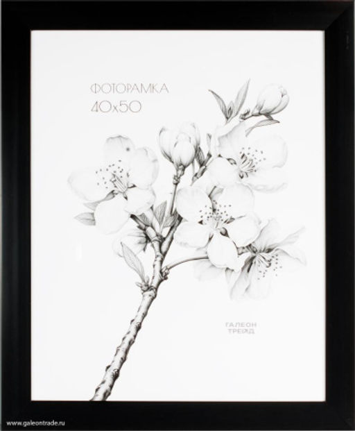 Фоторамка 40х50 / 2900A-012C /,ф