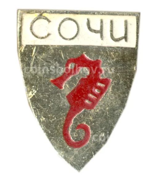 Значок Сочи