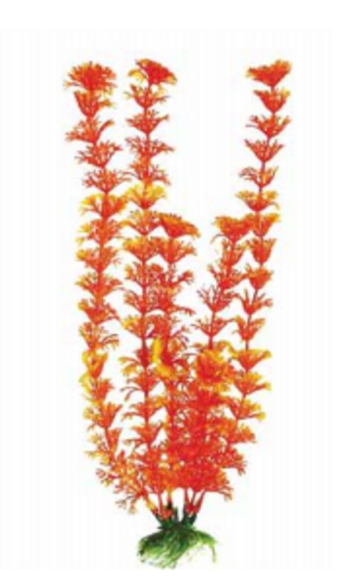 Растение Plant 021 Кабомба ОРАНЖЕВАЯ , 10см PLANT 021/10