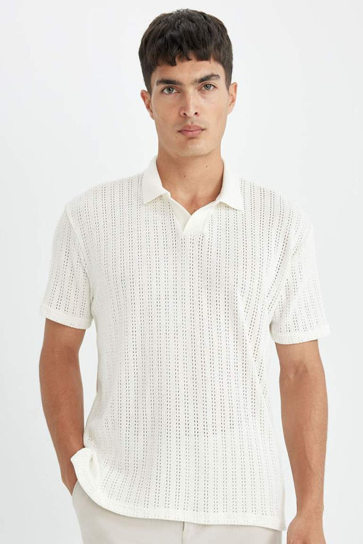Regular Fit K?sa Kollu Triko Polo Tisort - Defacto фото 7