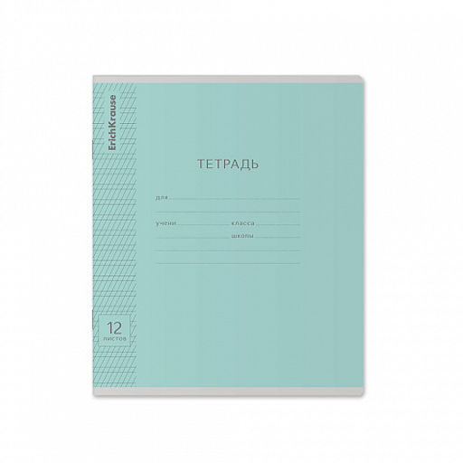 Цена за 280 шт. Тетрадь школьная ученическая ErichKrause Классика Visio ассорти, 12 листов, частая косая линейка (в плёнке по 10 шт.) фото 50