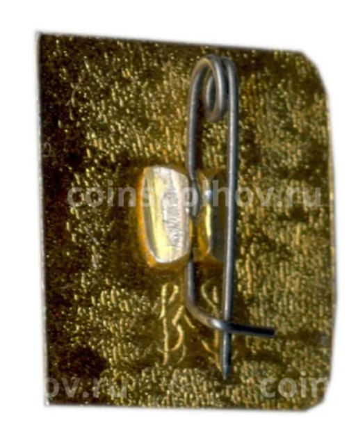 Значок Всесоюзное музыкальное общество