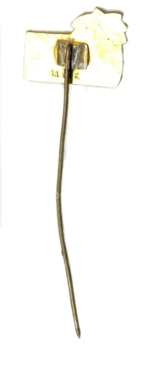 Значок Сочи