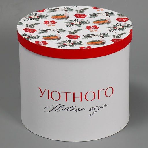 Коробка подарочная Уютного нового года, 19,5 22 см