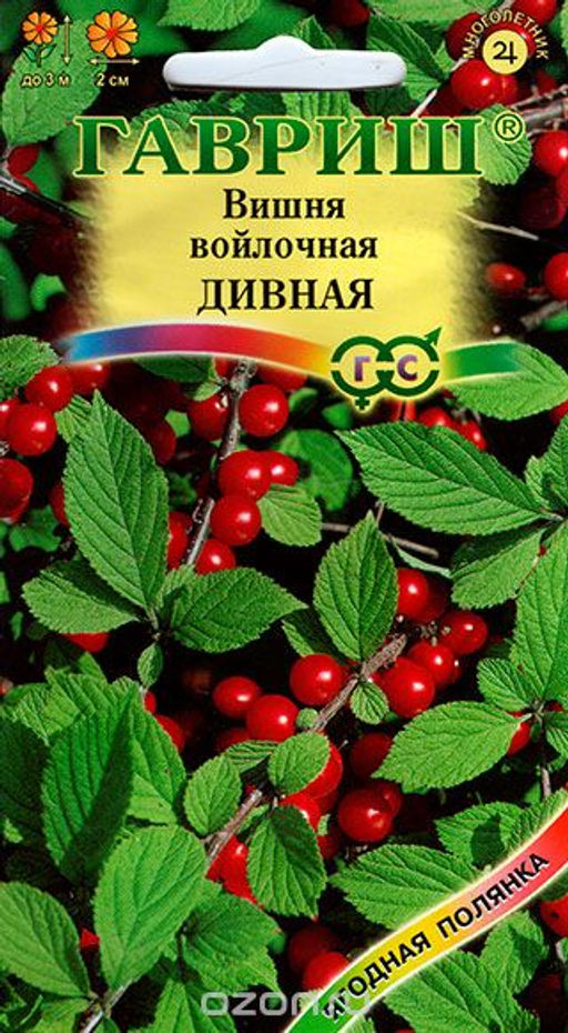 Вишня Дивная войлочная 0,5гр (г)